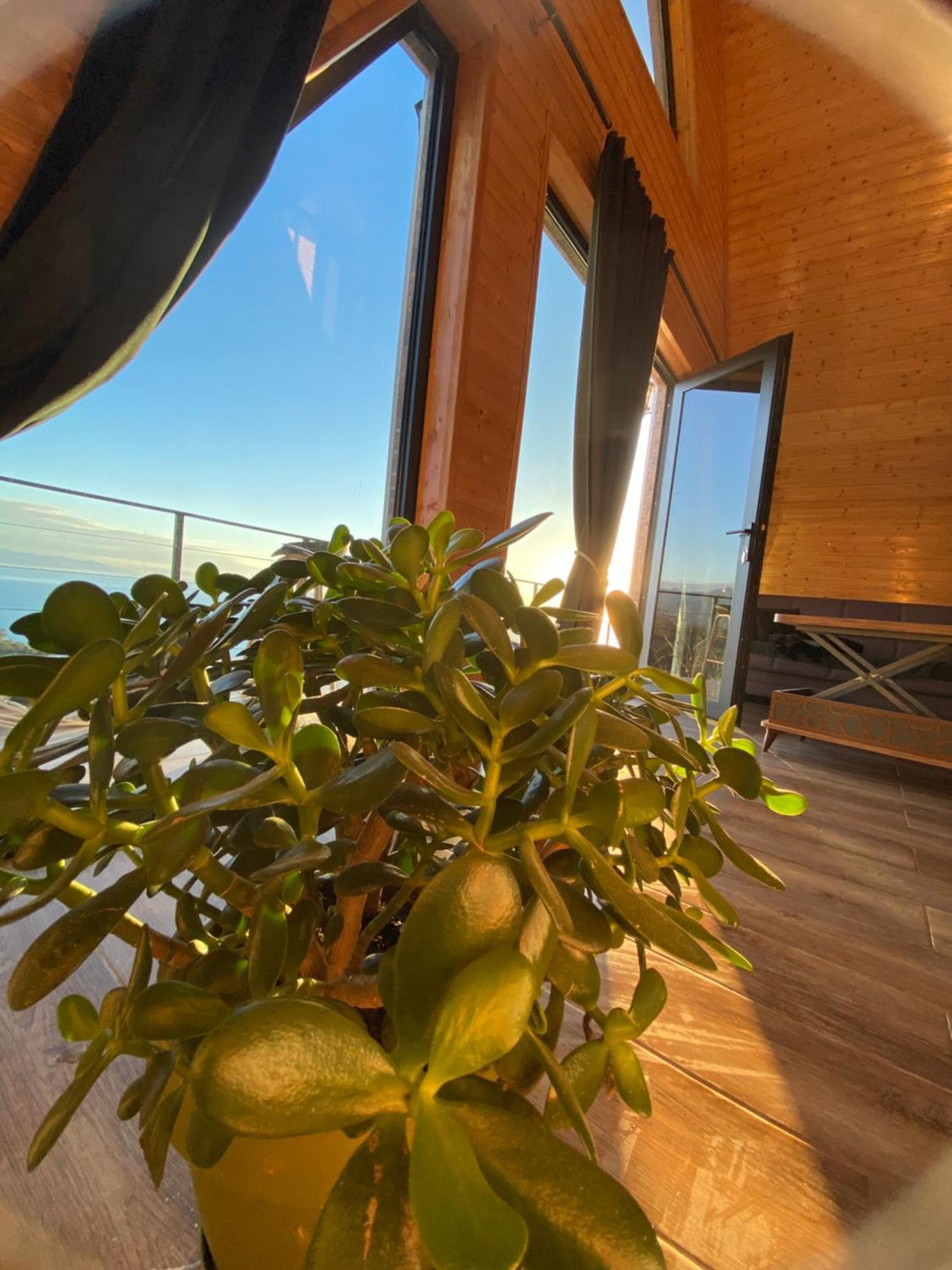 Ferienhaus Lazeti • ლაზეთი ინნ *